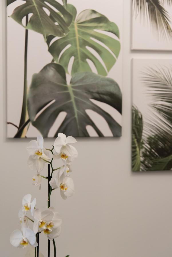 Medluxe Comfort Apartment Athènes Extérieur photo